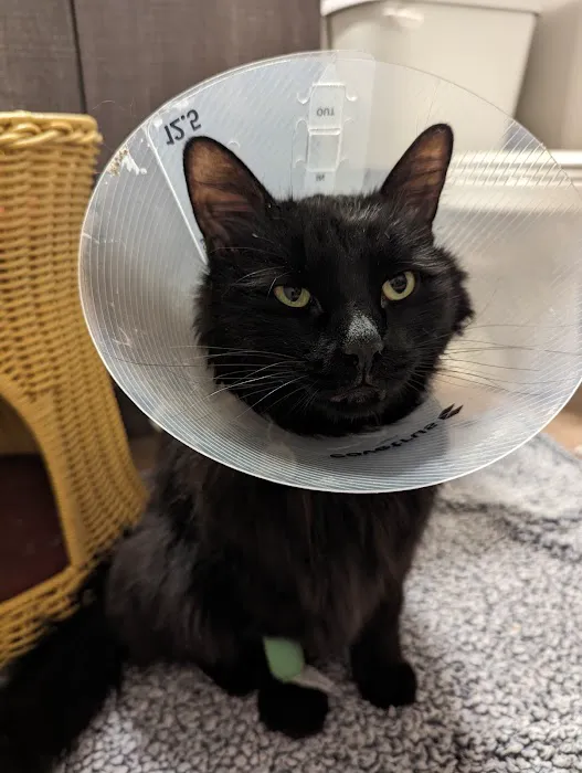 Animal Care Veterinary Hospitals - West Haven 4