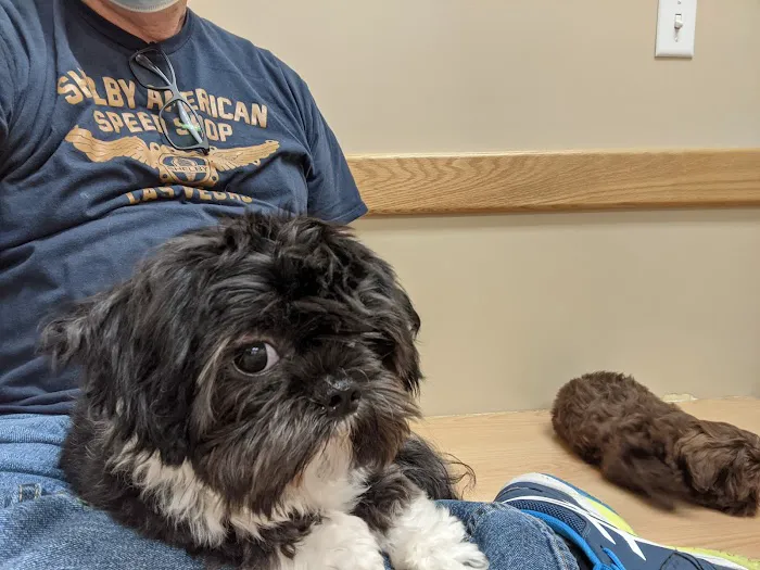 Animal Care Veterinary Hospitals - West Haven 6