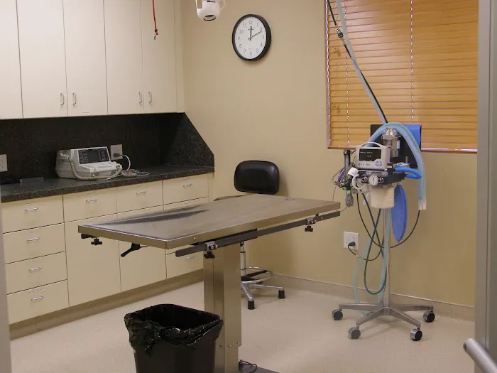 Animal Care Veterinary Hospitals - West Haven 9