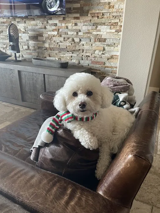 Canyon Pet Hospital 10