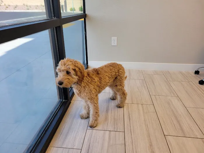 Canyon Pet Hospital 6