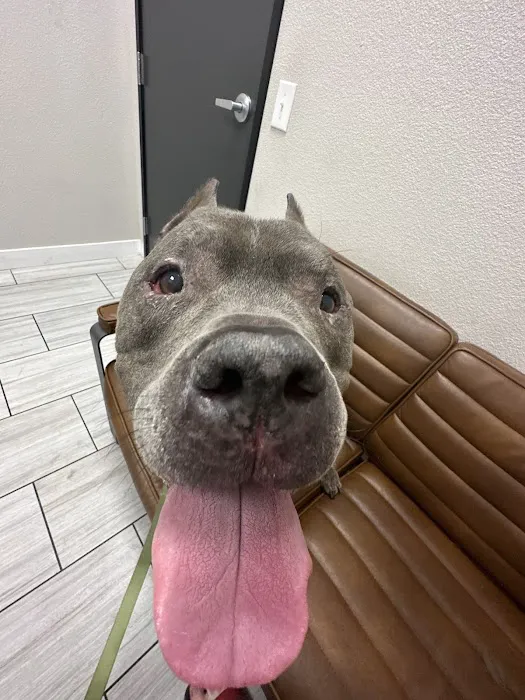 Canyon Pet Hospital 3