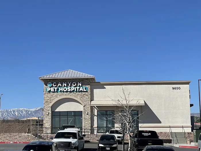 Canyon Pet Hospital 9