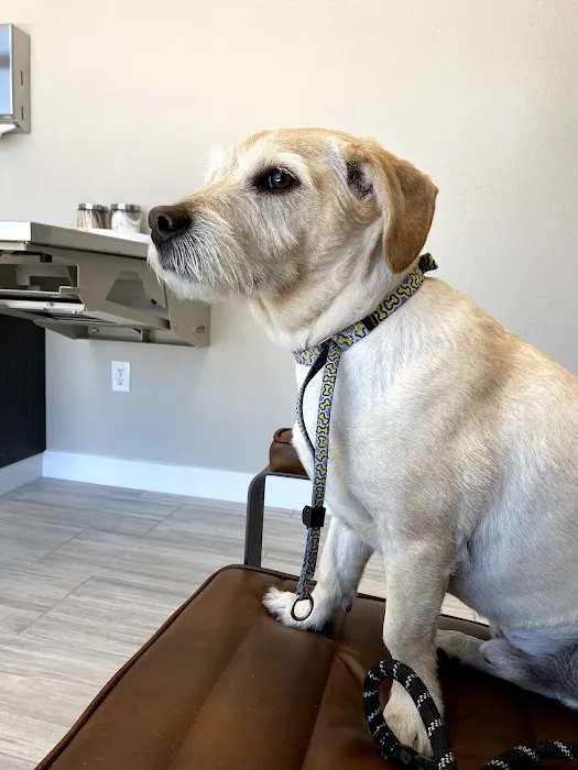 Canyon Pet Hospital 7