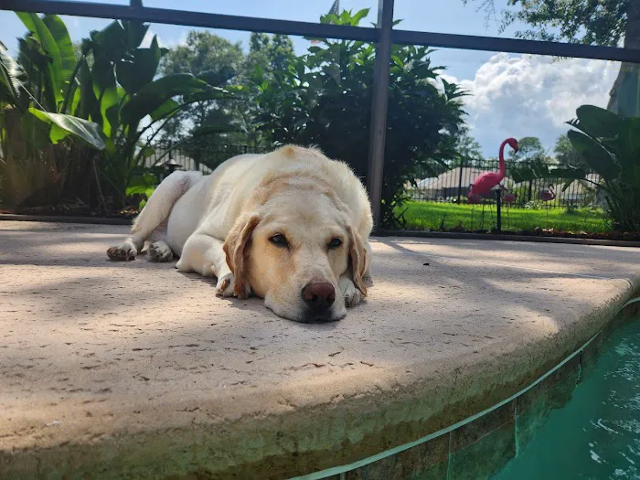 NewDay Veterinary Care 5