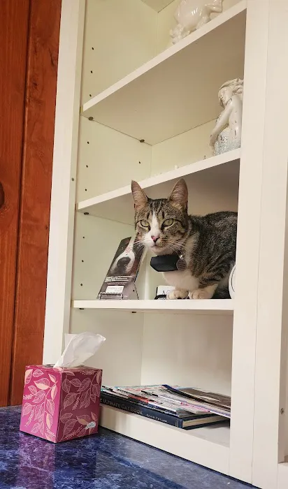 Nassau Veterinary Hospital 5