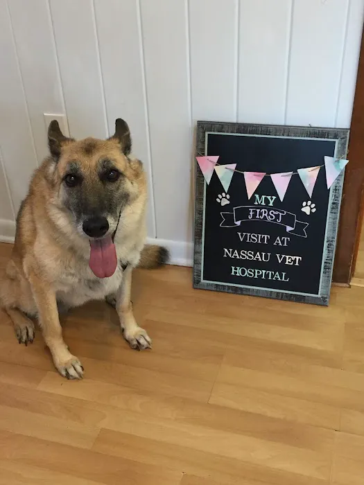 Nassau Veterinary Hospital 6