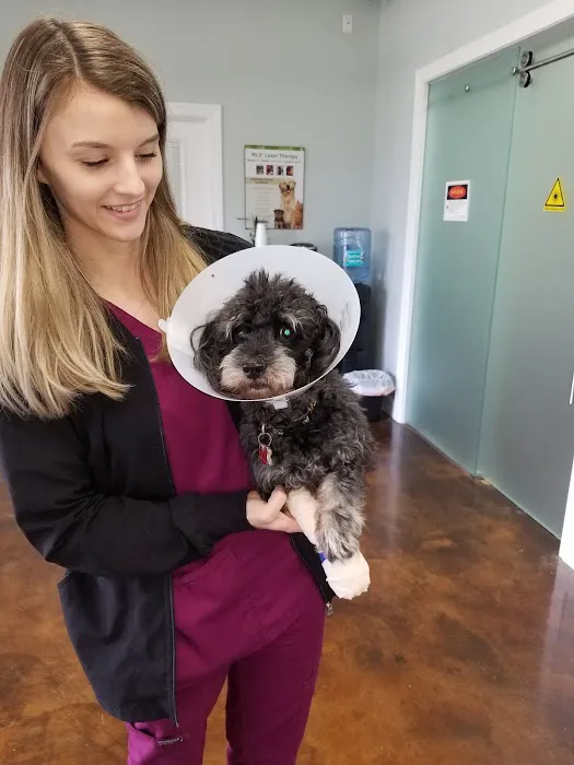 Amelia Pointe Veterinary Services 3