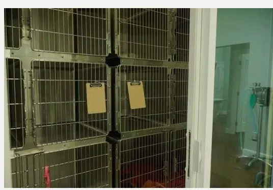 Amelia Pointe Veterinary Services 10