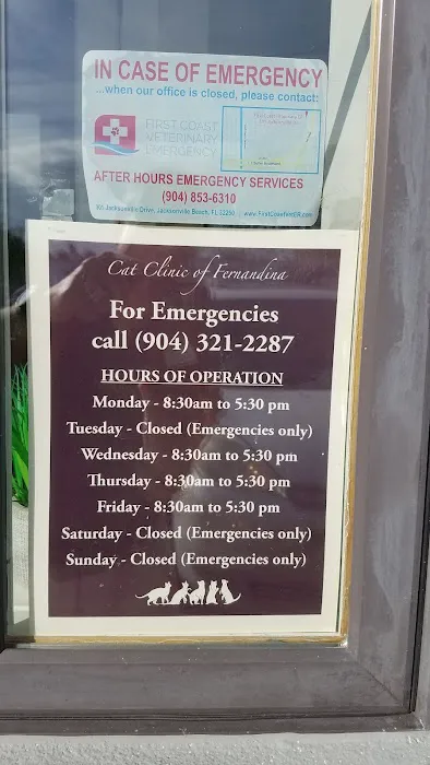 Cat Clinic of Fernandina 6
