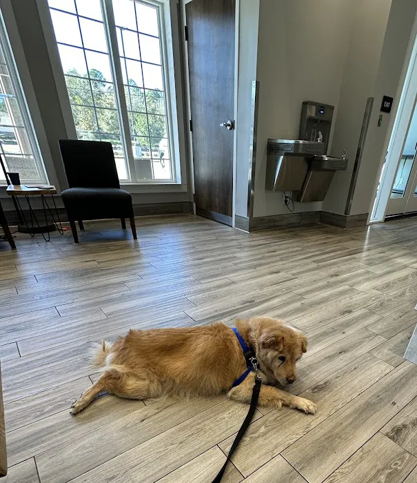 Robinson 24-Hour Veterinary Hospital 10
