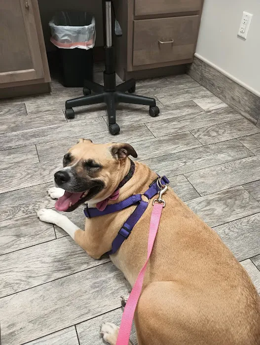 Full Circle Animal Hospital 3