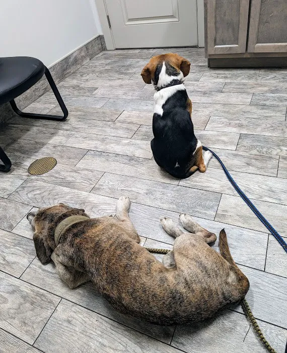 Full Circle Animal Hospital 10