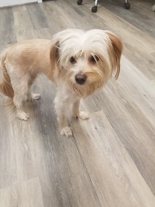Animal Clinic of Nassau County 9