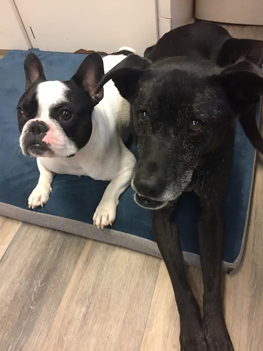Animal Clinic of Nassau County 8