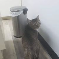 Animal Clinic of Nassau County ico