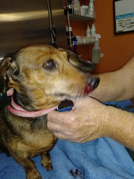 Callahan Animal Hospital 2