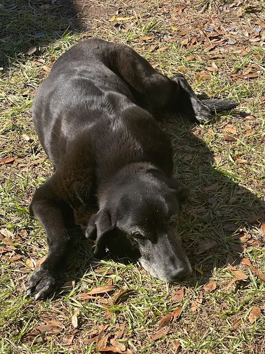Callahan Animal Hospital 5