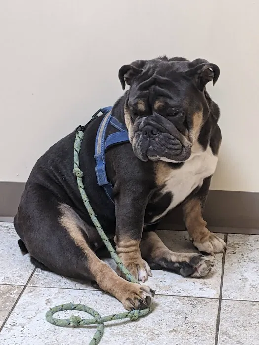 Hylan Animal Hospital 2