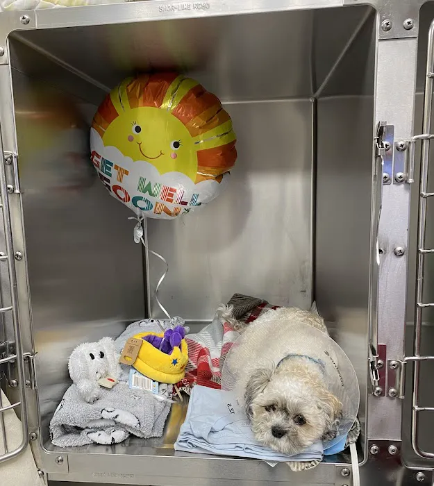 Hylan Animal Hospital 4