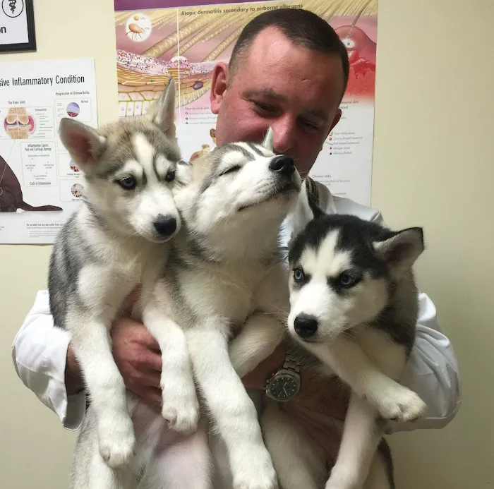 Hylan Animal Hospital 9