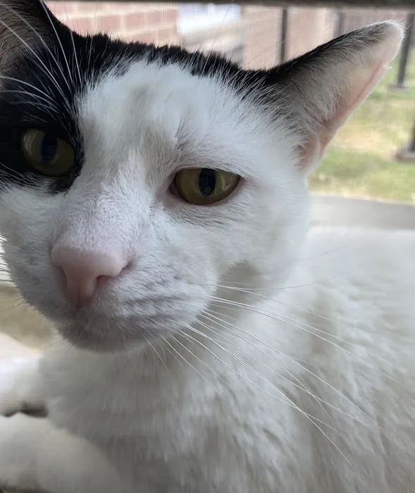 Hylan Animal Hospital 7