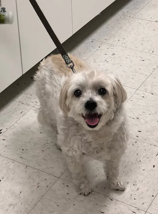 Hylan Animal Hospital 8