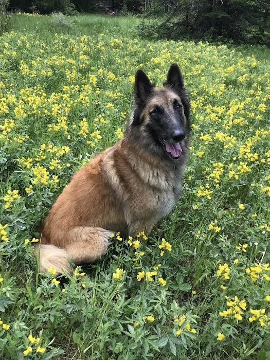 Lyons Vet Clinic 3