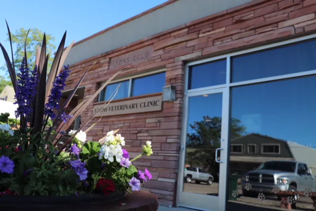 Lyons Vet Clinic 2