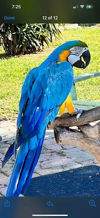 Aspen Companion & Exotics Animal Clinic 7
