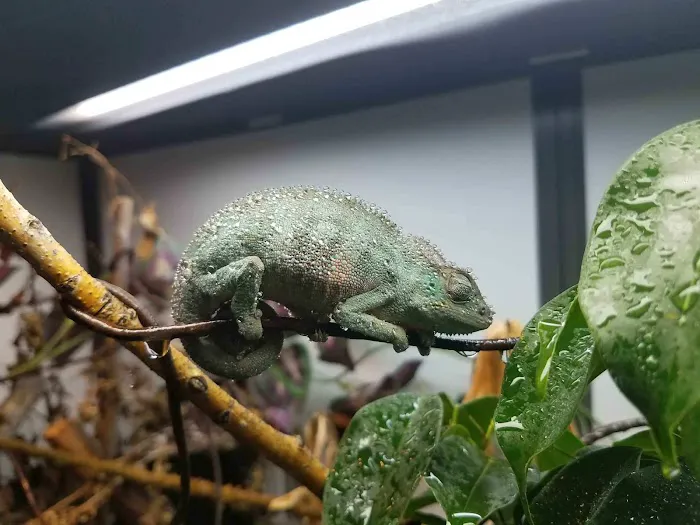 Aspen Companion & Exotics Animal Clinic 4
