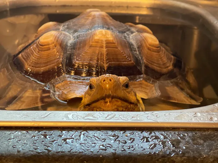 Aspen Companion & Exotics Animal Clinic 5