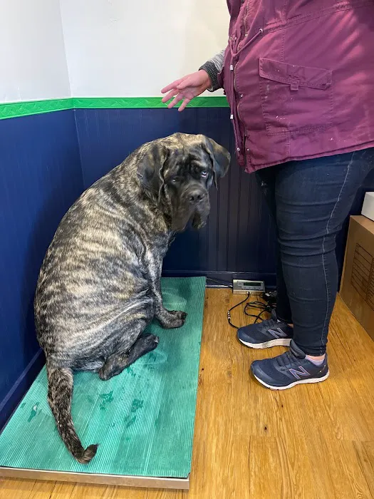 Aspen Companion & Exotics Animal Clinic 8