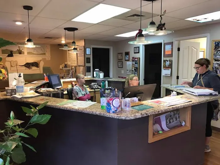 North Shore Animal Hospital 3