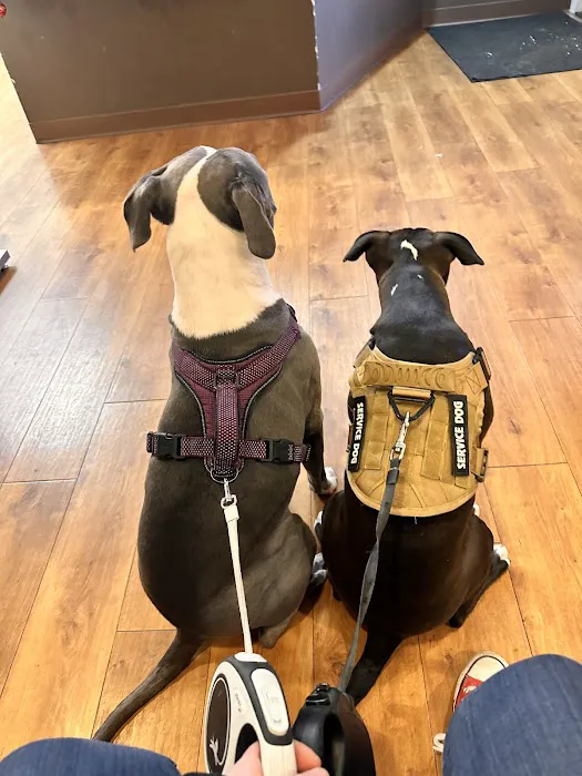 North Shore Animal Hospital 10