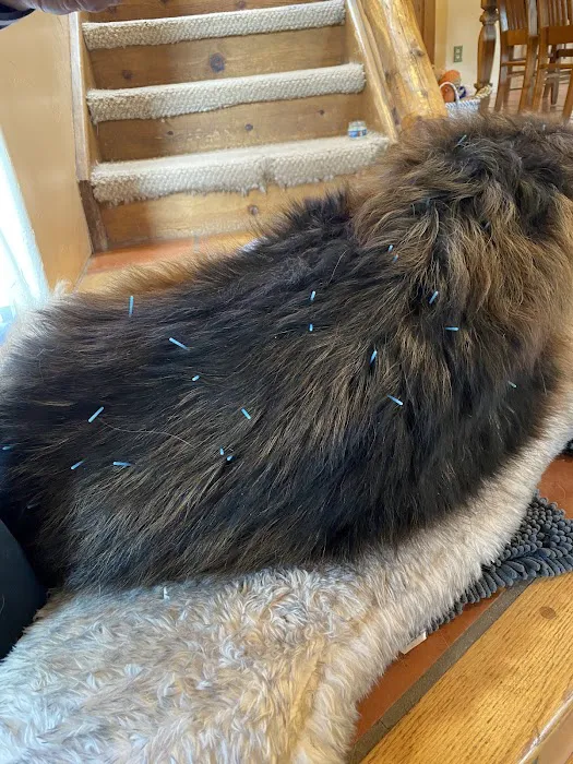 Pets in Motion Mobile Acupuncture 10