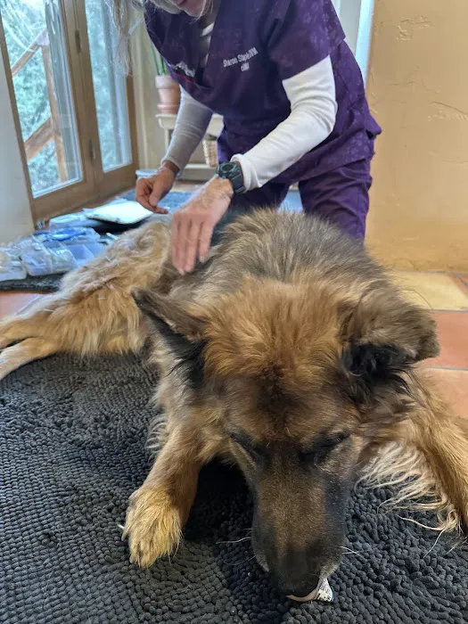 Pets in Motion Mobile Acupuncture 5