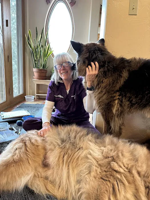 Pets in Motion Mobile Acupuncture 8