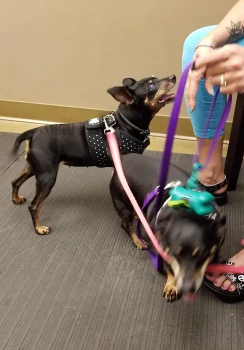 Worthington Animal Clinic 2