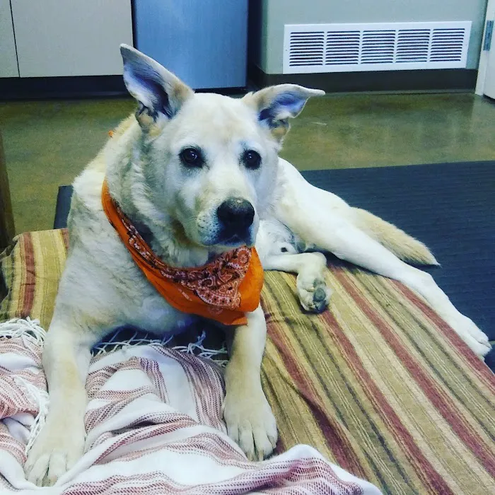 Worthington Animal Clinic 10