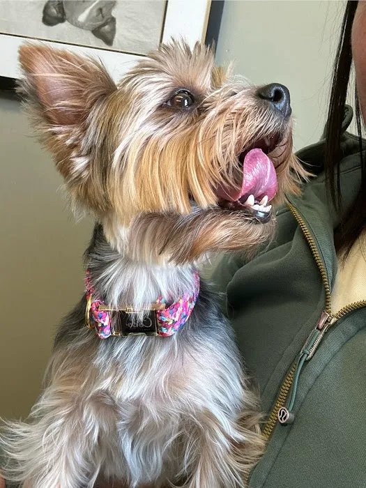 Worthington Animal Clinic 1