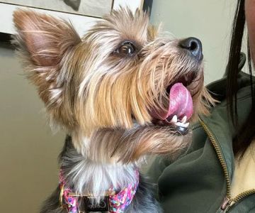 Worthington Animal Clinic