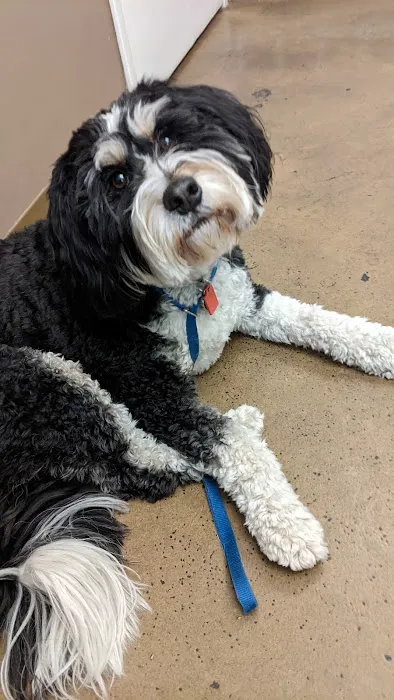 Worthington Animal Clinic 7
