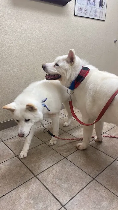 West Ridge Animal Hospital 1