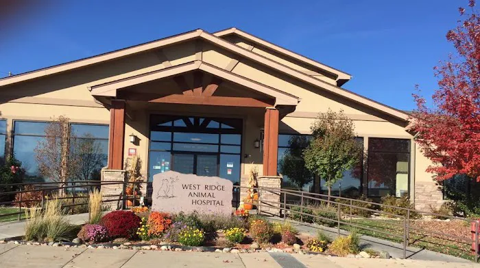 West Ridge Animal Hospital 6