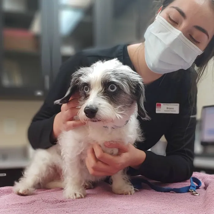 West Ridge Animal Hospital 7