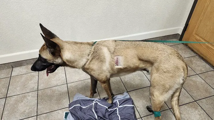 West Ridge Animal Hospital 3