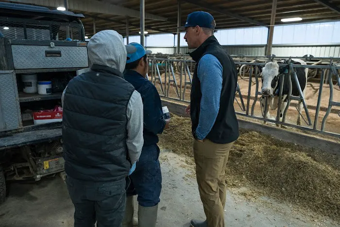 The Dairy Authority LLC 4
