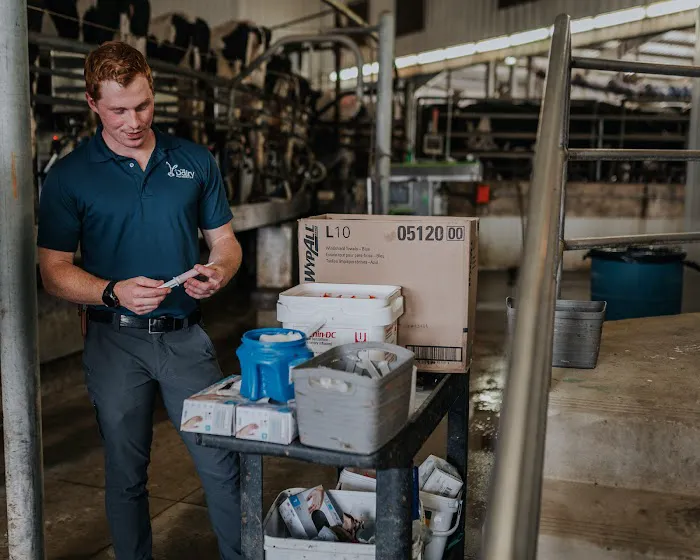 The Dairy Authority LLC 8