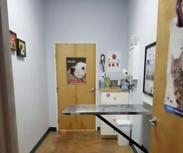 St. Michaels Companion Animal Hospital